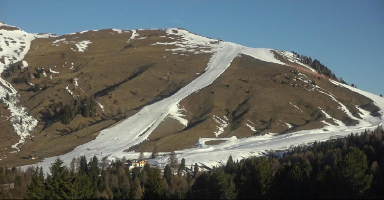 Webcam Bellamonte-Alpe Lusia - Pista direttissima Le Cune