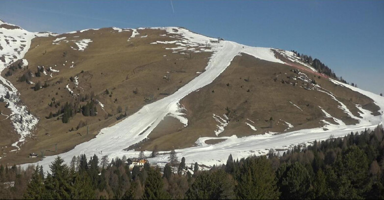 Webcam Bellamonte-Alpe Lusia - Pista direttissima Le Cune