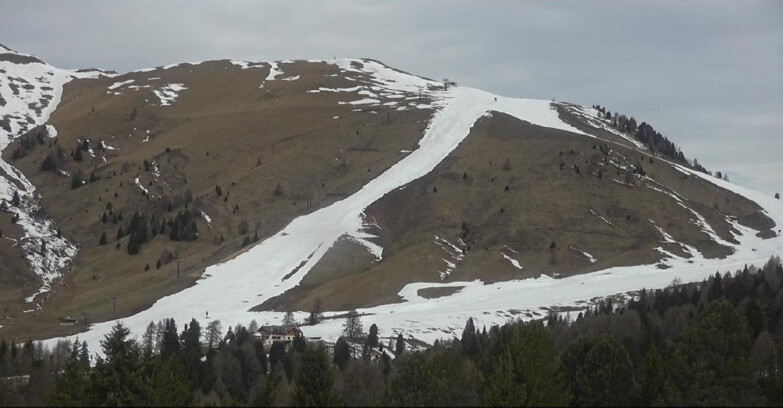 Webcam Bellamonte-Alpe Lusia  - Pista direttissima Le Cune