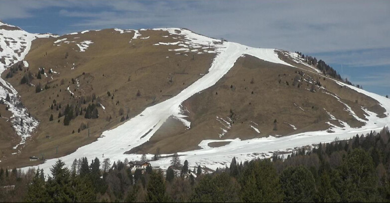 Webcam Bellamonte-Alpe Lusia  - Pista direttissima Le Cune
