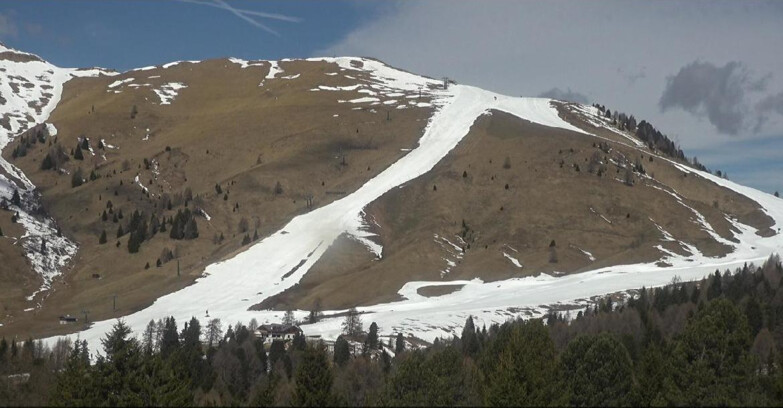 Webcam Bellamonte-Alpe Lusia  - Pista direttissima Le Cune