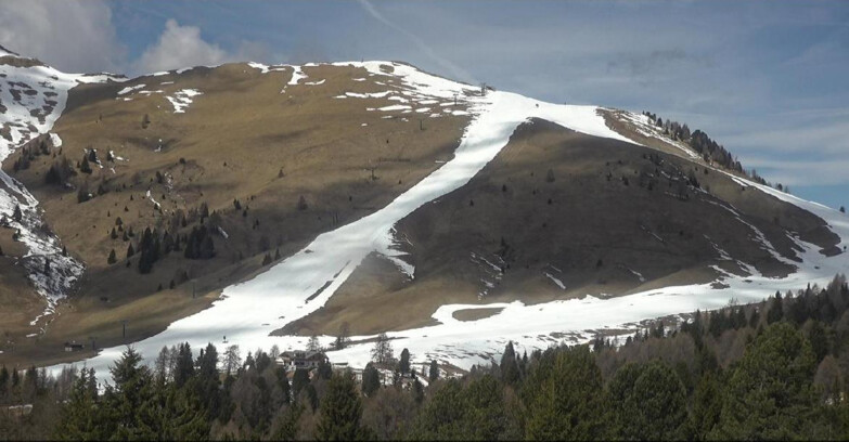 Webcam Bellamonte-Alpe Lusia - Pista direttissima Le Cune