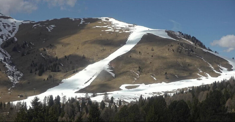 Webcam Bellamonte-Alpe Lusia - Pista direttissima Le Cune