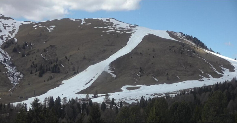 Webcam Bellamonte-Alpe Lusia - Pista direttissima Le Cune