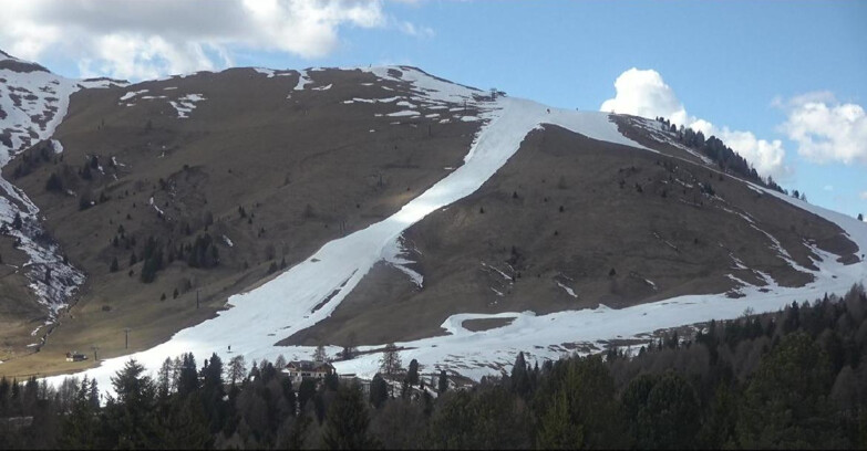 Webcam Bellamonte-Alpe Lusia - Pista direttissima Le Cune