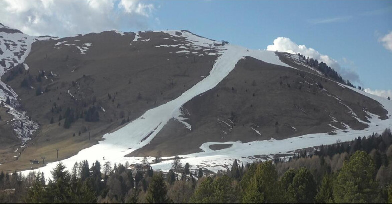 Webcam Bellamonte-Alpe Lusia - Pista direttissima Le Cune