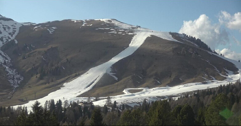 Webcam Bellamonte-Alpe Lusia - Pista direttissima Le Cune