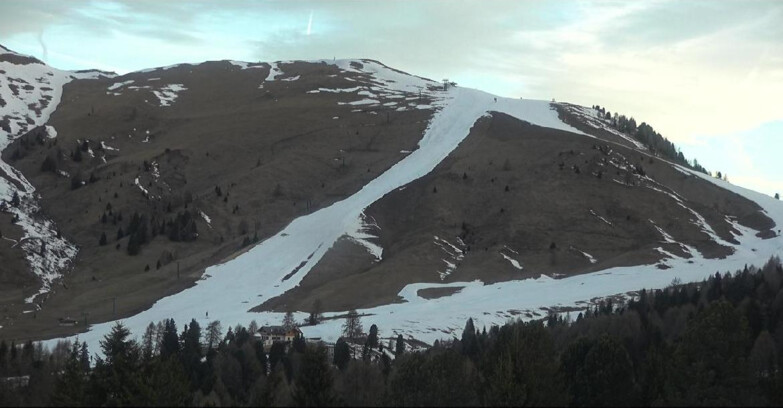 Webcam Белламонте-Альпе-Лусиа  - Pista direttissima Le Cune