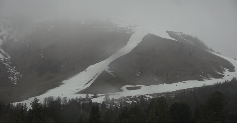 Webcam Bellamonte-Alpe Lusia - Pista direttissima Le Cune