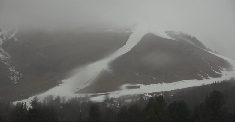 Webcam Bellamonte-Alpe Lusia - Pista direttissima Le Cune