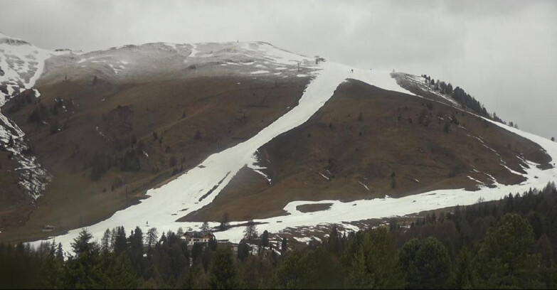 Webcam Bellamonte-Alpe Lusia - Pista direttissima Le Cune