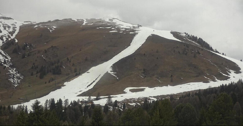 Webcam Bellamonte-Alpe Lusia - Pista direttissima Le Cune