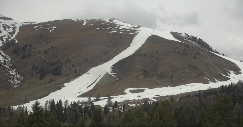 Webcam Bellamonte-Alpe Lusia - Pista direttissima Le Cune