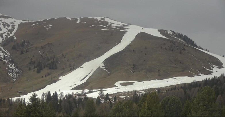 Webcam Bellamonte-Alpe Lusia - Pista direttissima Le Cune