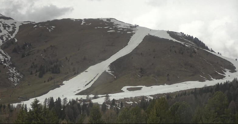 Webcam Белламонте-Альпе-Лусиа  - Pista direttissima Le Cune