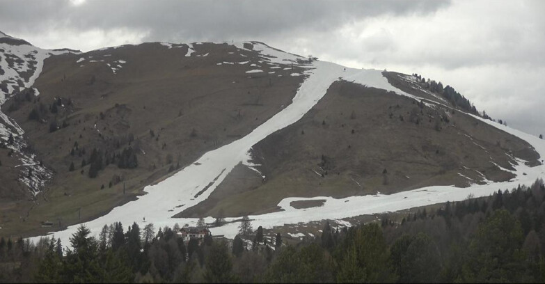 Webcam Белламонте-Альпе-Лусиа  - Pista direttissima Le Cune