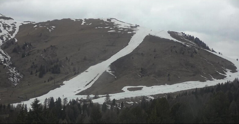 Webcam Bellamonte-Alpe Lusia  - Pista direttissima Le Cune
