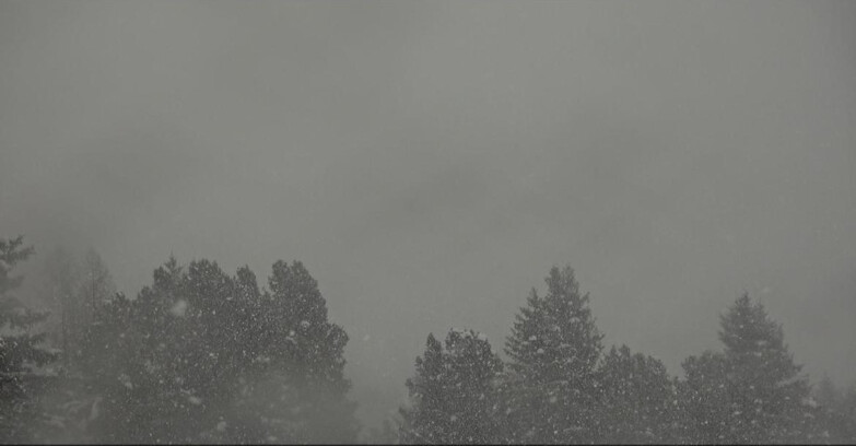 Webcam Bellamonte-Alpe Lusia - Pale di San Martino