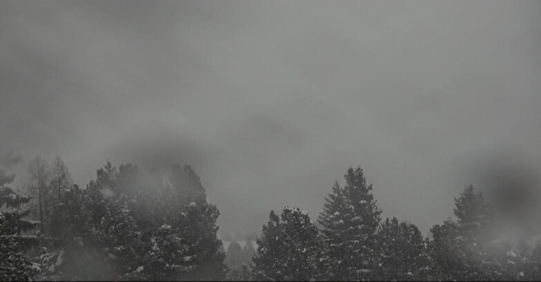 Webcam Bellamonte-Alpe Lusia - Pale di San Martino