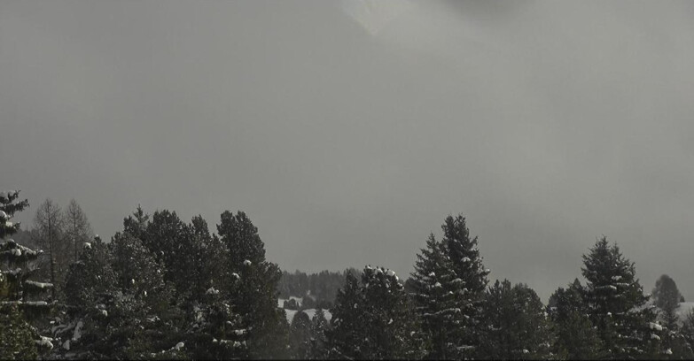 Webcam Bellamonte-Alpe Lusia - Pale di San Martino