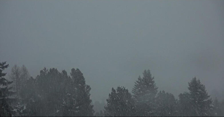 Webcam Bellamonte-Alpe Lusia  - Palagruppe