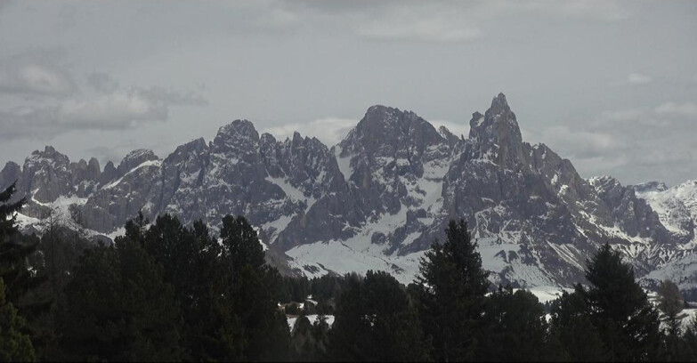 Webcam Bellamonte-Alpe Lusia  - Pale di San Martino