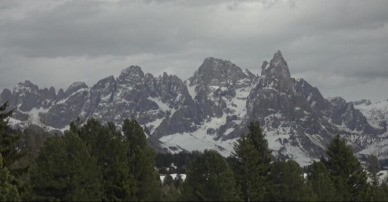 Webcam Bellamonte-Alpe Lusia  - Pale di San Martino