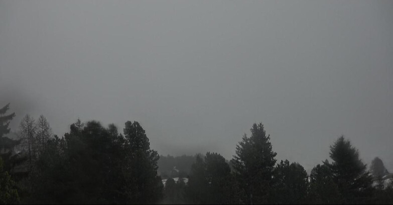 Webcam Bellamonte-Alpe Lusia  - Pale di San Martino