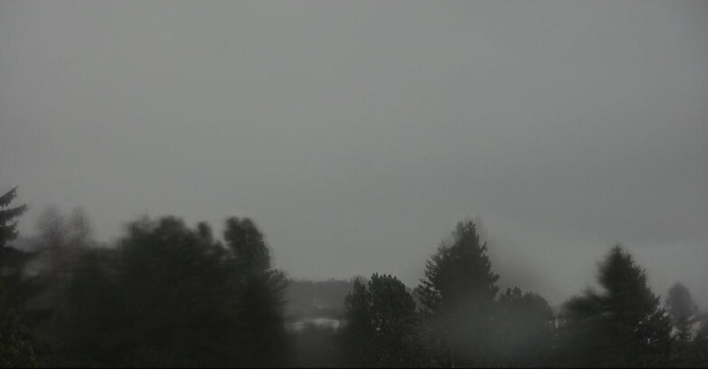 Webcam Bellamonte-Alpe Lusia  - Pale di San Martino