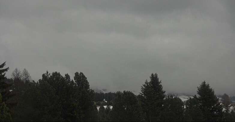 Webcam Bellamonte-Alpe Lusia  - Pale di San Martino