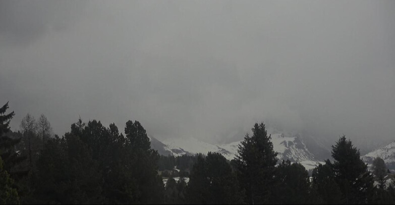 Webcam Bellamonte-Alpe Lusia  - Pale di San Martino