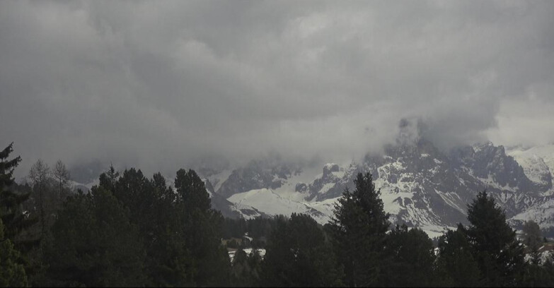 Webcam Bellamonte-Alpe Lusia - Pale di San Martino