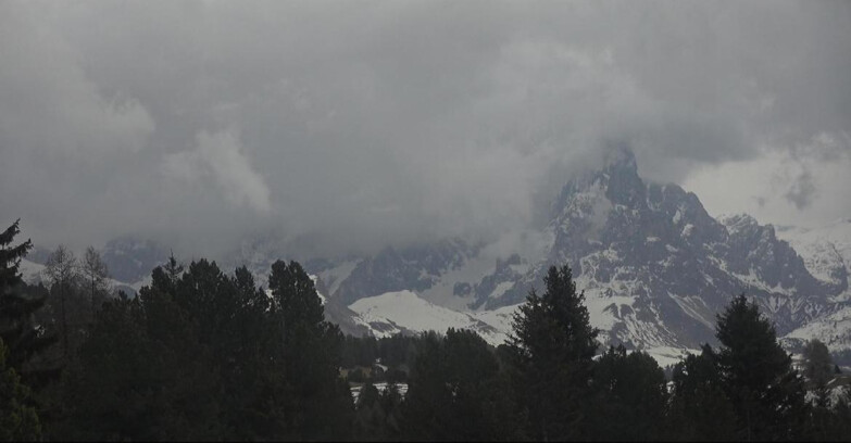Webcam Bellamonte-Alpe Lusia - Pale di San Martino