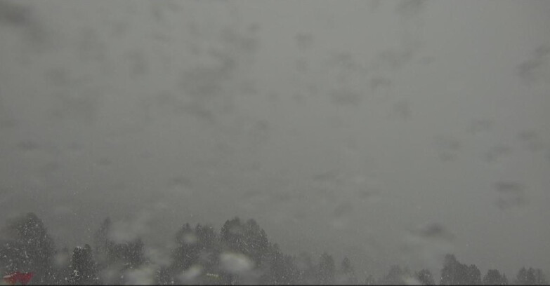 Webcam Bellamonte-Alpe Lusia  - Lagorai