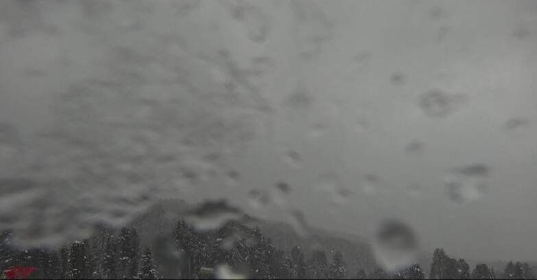 Webcam Bellamonte-Alpe Lusia  - Lagorai