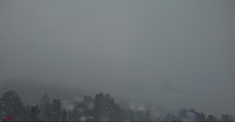 Webcam Bellamonte-Alpe Lusia  - Lagorai