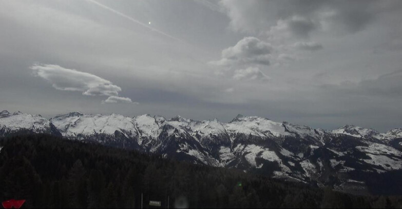 Webcam Bellamonte-Alpe Lusia  - Lagorai