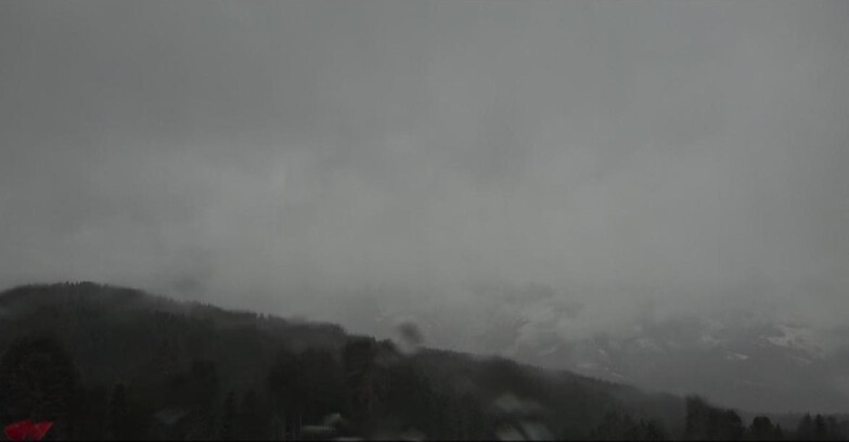 Webcam Bellamonte-Alpe Lusia - Catena del Lagorai