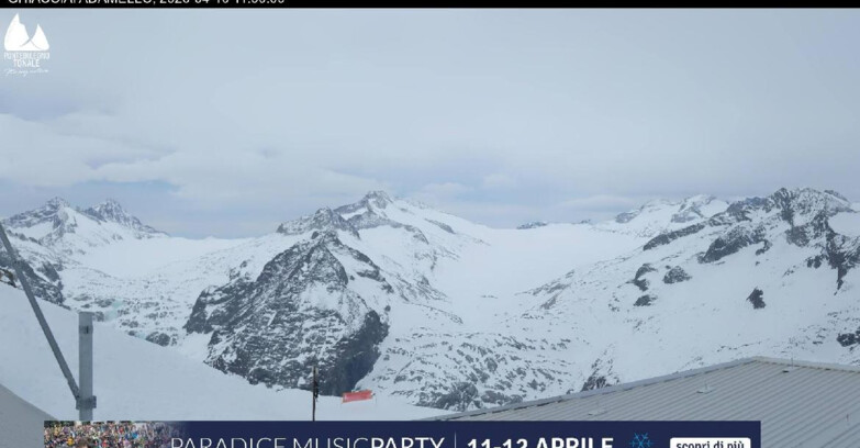 Webcam Glacier Presena - Presena glacier - Tonale