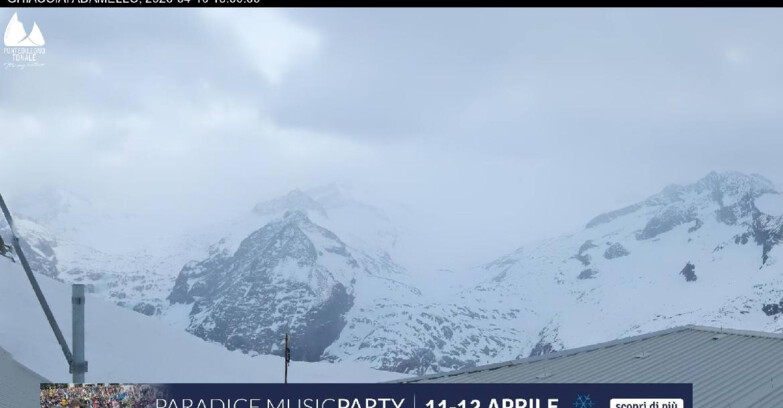 Webcam Glacier Presena - Presena glacier - Tonale