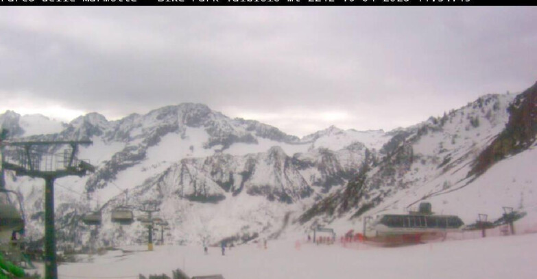 Webcam Gletscher Presena - Valbiolo