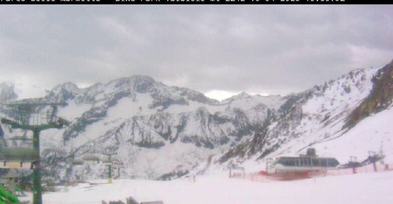 Webcam Gletscher Presena - Valbiolo