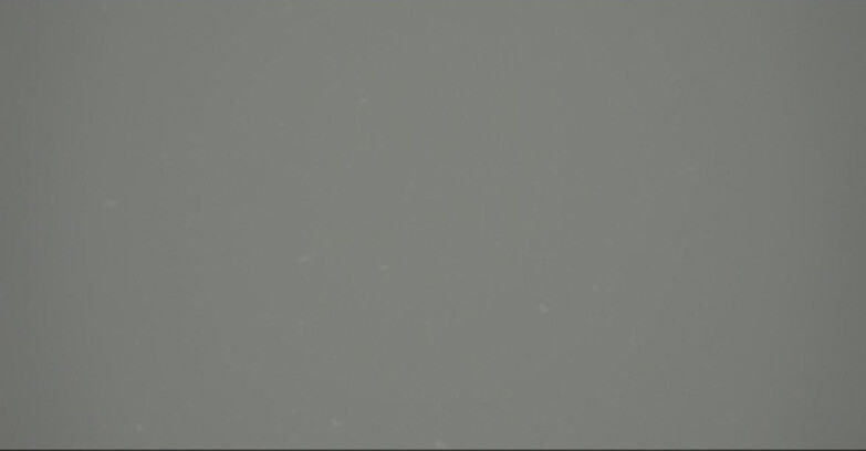 Webcam Pampeago  - Predazzo -  Obereggen - Piste Pampeago