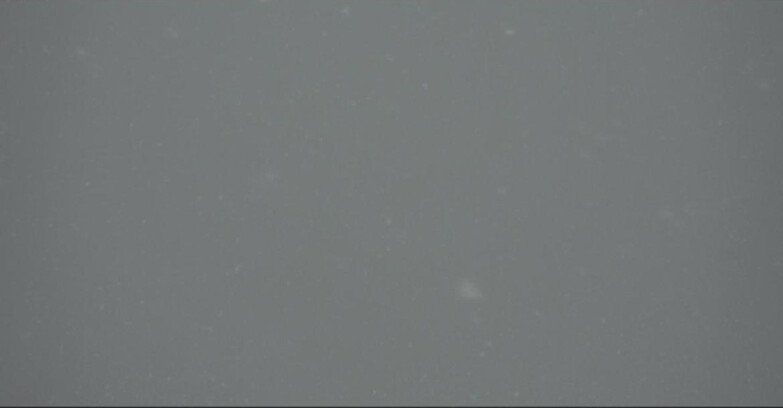 Webcam Pampeago  - Predazzo -  Obereggen - Piste Pampeago