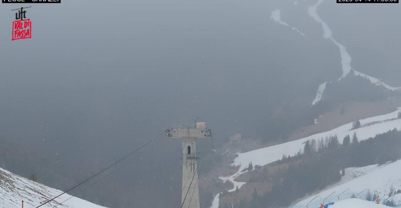 Webcam Canazei-Belvedere  - Canazei - Località Pecol