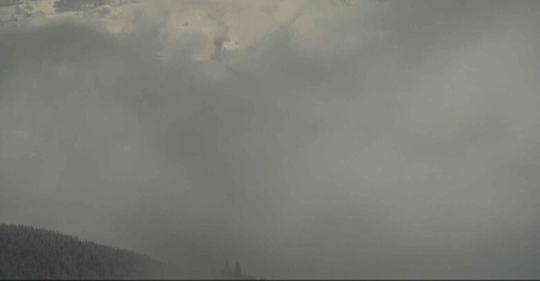 Webcam Alpe Cermis  - Cavalese