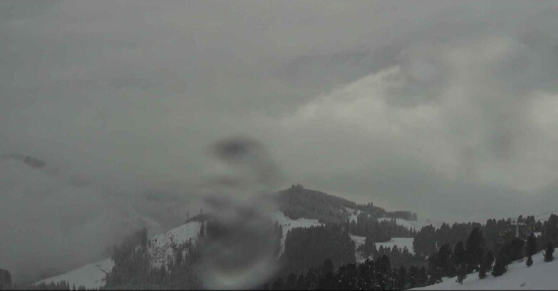 Webcam Alpe Cermis - Val di Fiemme