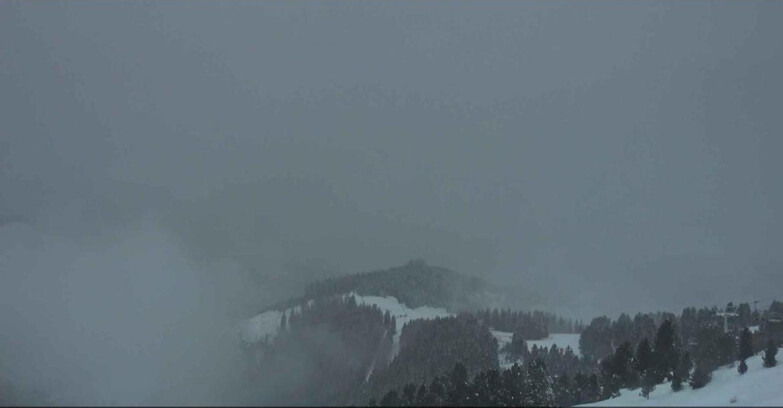 Webcam Alpe Cermis  - Val di Fiemme