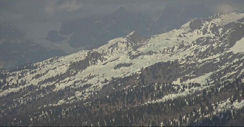 Webcam Alpe Cermis  - Pale range