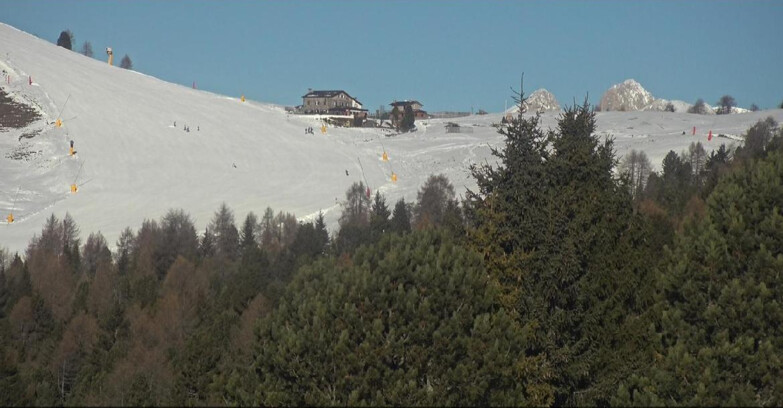 Webcam Bellamonte-Alpe Lusia  - Pista Dolomitica